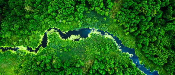 I HLINÍK SI ZASLOUŽÍ DRUHOU ŠANCI! ♻️
